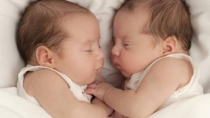 رمز و رازهای پزشکی: چند نوع دوقلو داریم؟ 15 رمز و رازهای پزشکی: چند نوع دوقلو داریم؟