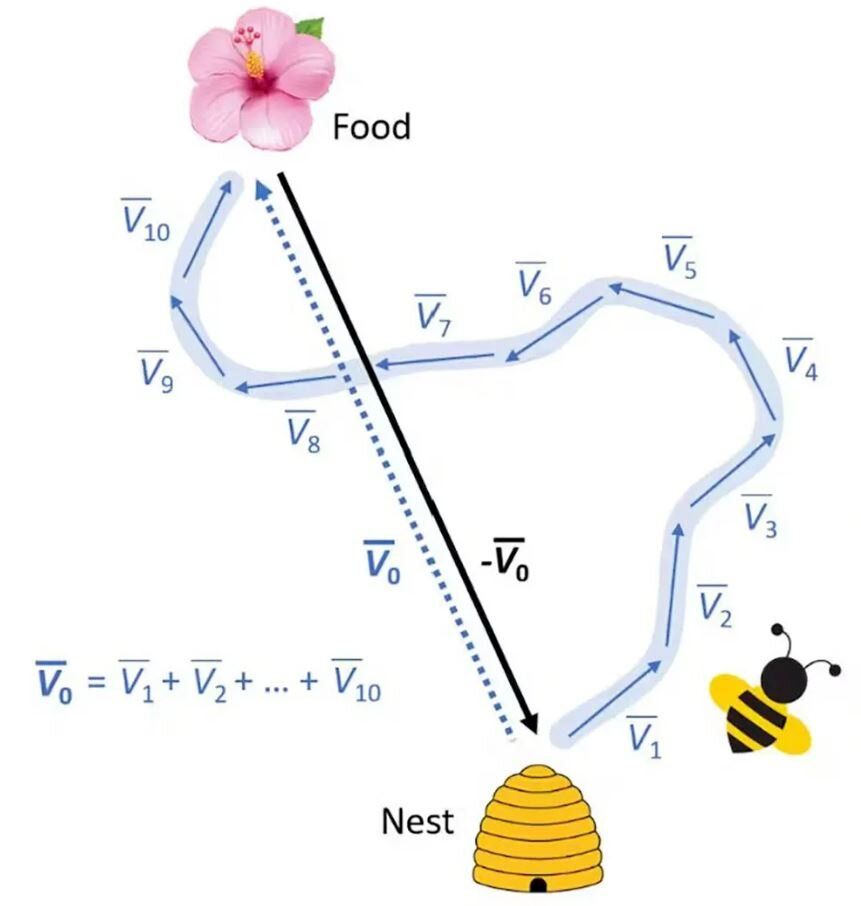 پاسخ این سوال ساده را نمی‌دانید/ چرا دو به علاوه دو همیشه چهار می‌شود؟