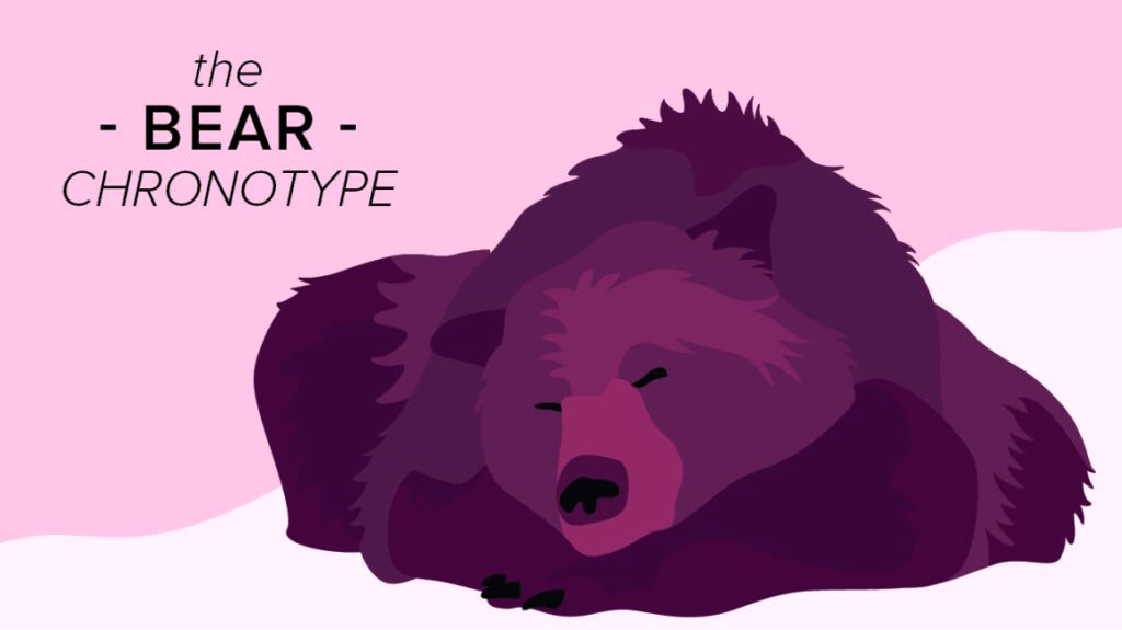 کرونوتایپ و تاثیر آن بر خواب/ حیوان خواب خود را بشناسید 12 کرونوتایپ و تاثیر آن بر خواب؛ حیوان خواب خود را بشناسید