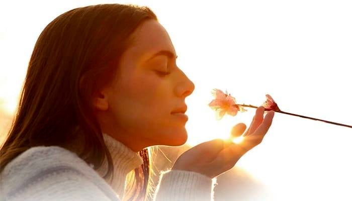 استشمام بوهای مختلف می‌تواند حافظه را تقویت کند