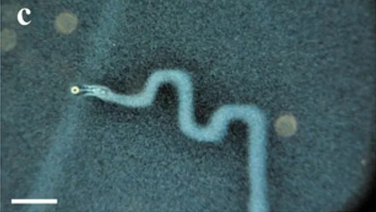 دانشمندان برای اولین بار موفق شدند روی آب بنویسند 1 1