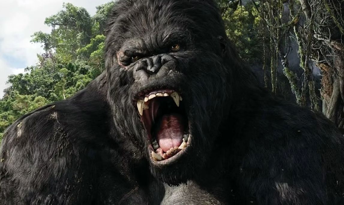 ۸ فیلم هیجان انگیز با چاشنی ماجراجویی در جنگل 16 (تصاویر) ۸ فیلم هیجان انگیز با چاشنی ماجراجویی در جنگل