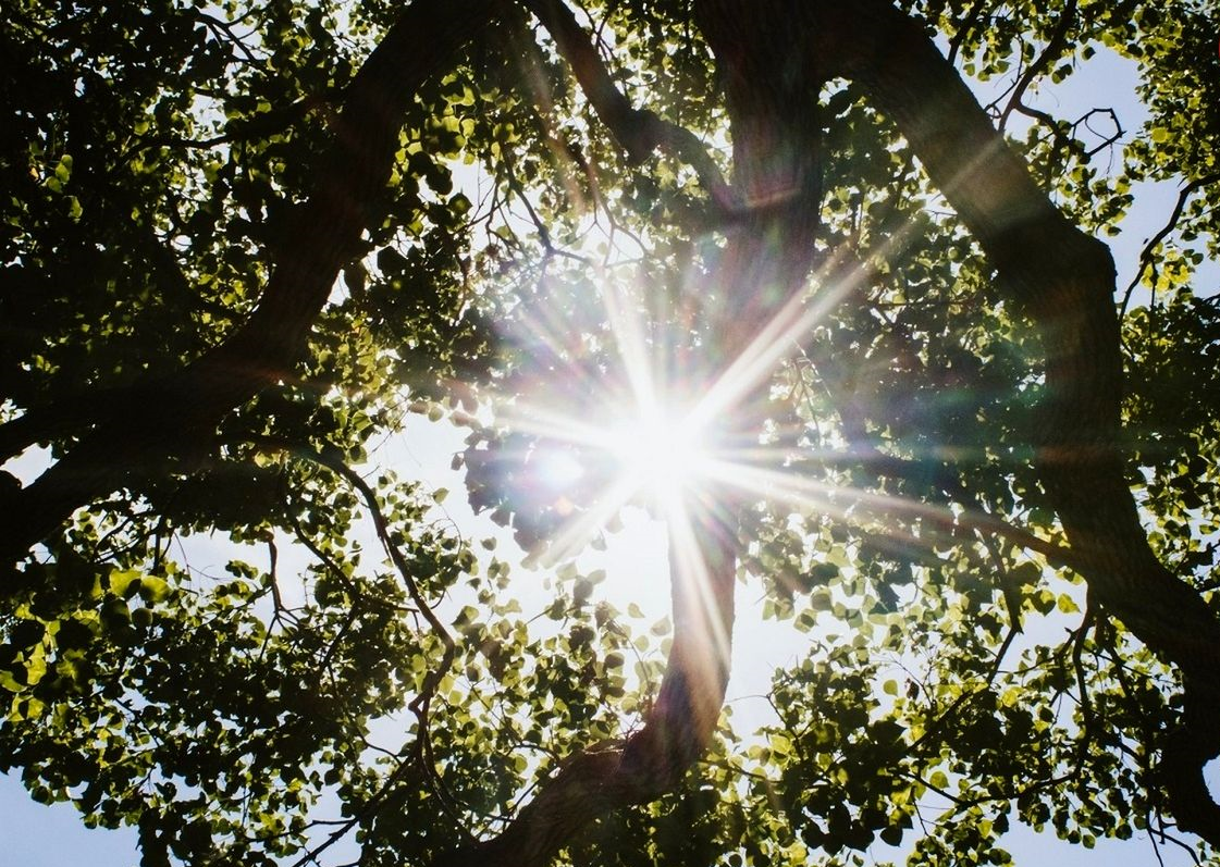 خواب نابیناها چه رنگی است؟ 30 1697356816 957 خواب نابیناها چه رنگی است؟