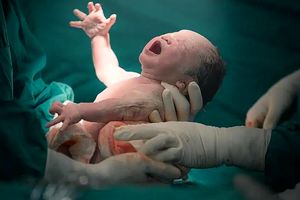 بزرگترین اختراع در تاریخ بشریت/ چگونه بدن زنان ۲۰۰ میلیون سال تکامل بشر را هدایت کرد؟ 5 بزرگترین اختراع در تاریخ بشریت/ چگونه بدن زنان ۲۰۰ میلیون سال تکامل بشر را هدایت کرد؟