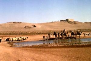 عصر کشاورزی احتمالا در سوریه و با انفجار یک دنباله دار، آغاز شده است 6 عصر کشاورزی احتمالا در سوریه و با انفجار یک دنباله دار، آغاز شده است