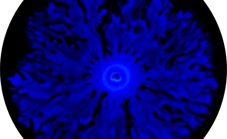 ازدحام باکتری‌ها روی یک صفحه آزمایشگاهی