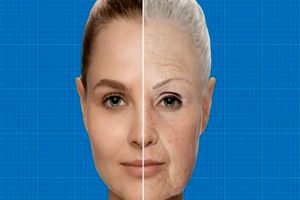 دانشمندان چینی مدعی کشف راز جوانی شدند 4 دانشمندان چینی مدعی کشف راز جوانی شدند