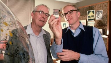 انقراض دسته جمعی چیست و چرا دانشمندان فکر می کنند ما در میانه یک انقراض قرار داریم؟ (مطالب سی ان ان معمولا زود میسوزن زیرنویس عکس ها در متن گنجانده و ذکر شده اند)