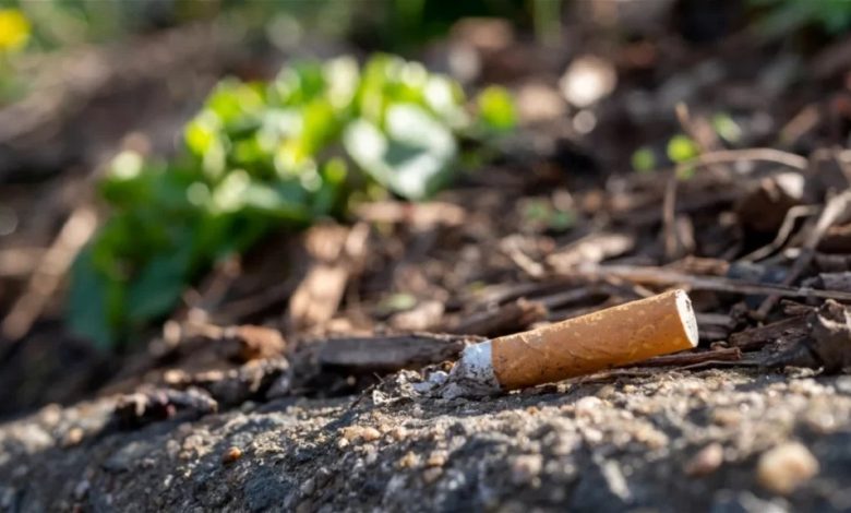 tirar-colillas-al-suelo-es-una-accion-poco-respetuosa-con-el-medio-ambiente-aunque-estas-ahora-parecen-tener-una-segunda-vida-1024x576