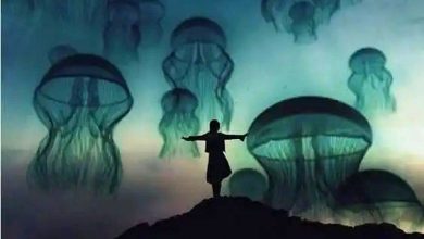 چرا ناخشنود و ناخشنود هستیم؟ 11 عادات سمی