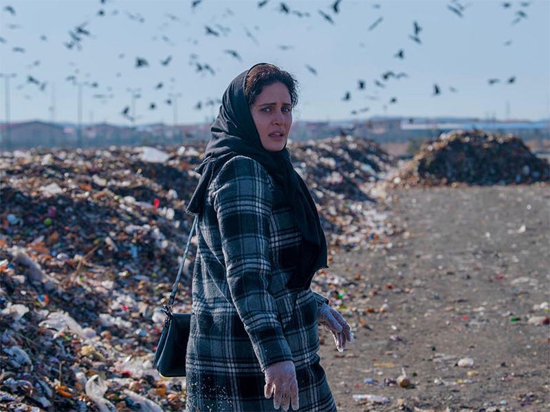 از معجزه دیجیتال «ابراهیم» برای «موسی» تا نقشه «بهروز» برای «هفت»!