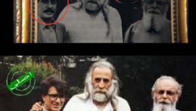 اعتراض به جعل عکس در سریال گناه فرشته، حذف شجریان، سایه و نادرپور 2 اعتراض به جعل عکس در سریال گناه فرشته ؛ حذف شجریان ، سایه و نادرپور (+عکس)