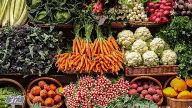 با تغییر رژیم غذایی زمین نجات می‌یابد؟