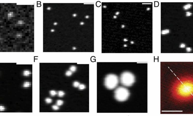 نانوپلاستیک در آب بطری