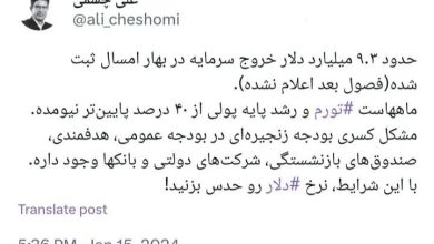 هشدار نگران‌کننده یک کارشناس درباره شرایط اقتصاد ایران/ چشمی: با این شرایط، قیمت دلار را حدس بزنید