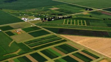 ۶۳ درصد از اراضی کشاورزی رفع تداخل شد