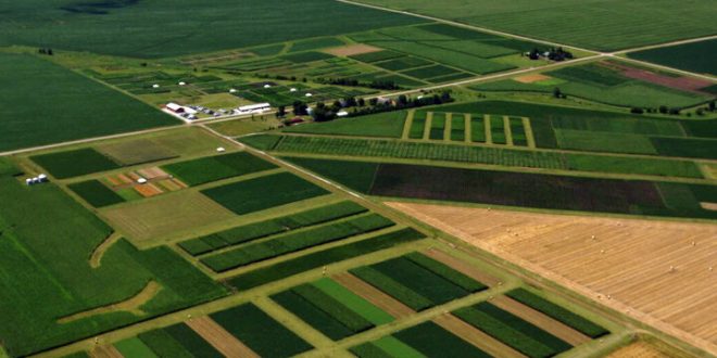 ۶۳ درصد از اراضی کشاورزی از بین بردن تداخل شد 1 ۶۳ درصد از اراضی کشاورزی رفع تداخل شد