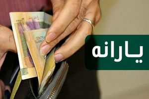 خبر از یارانه تشویقی با این کد دستوری 4 اطلاع از یارانه تشویقی با این کد دستوری
