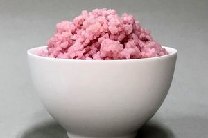 دانشمندان یک غذای تازه ابداع کردند 3 دانشمندان یک غذای جدید ابداع کردند