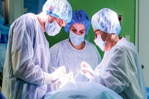 ساخت اولین دریچه آئورت قلب در جهان از بافت اهدا کننده 1 ساخت اولین دریچه آئورت قلب در جهان از بافت اهدا کننده