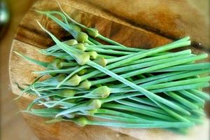 خواص بی نظیر و معجزه های برگ سیر!