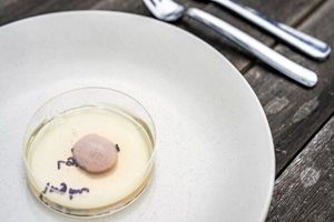 دانشمندان ژنوم قارچ‌ را برای تولید گوشت هک کردند