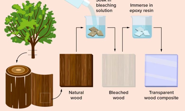 چرا دانشمندان چوب شفاف می‌سازند؟؛ قوی‌تر از پلاستیک و محکم‌تر از شیشه
