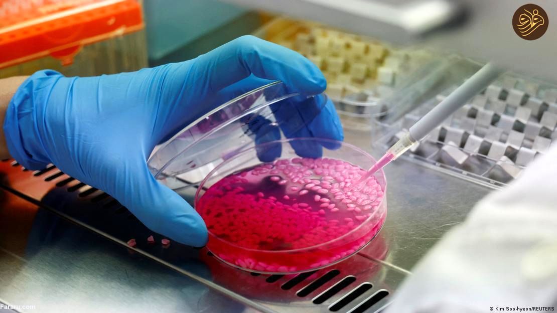 برنج گوشت گاو تشکیل شد/ آیا این برنج شگفت را میخورید؟_بام وطن 4 آیا برنج گوشت گاو آزمایشگاهی را می خورید؟ / خوانده شد