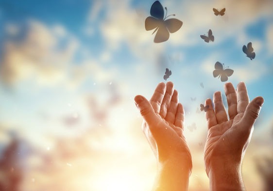 چرا بعضی اوقات نمی توان بخشید و فراموش کرد؟_بام وطن 16 چرا گاهی نمی توان فراموش کرد و بخشید؟