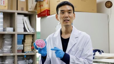 برنج گوشت گاو تشکیل شد/ آیا این برنج شگفت را میخورید؟_بام وطن 2 آیا برنج گوشت گاو آزمایشگاهی را می خورید؟ / خوانده شد