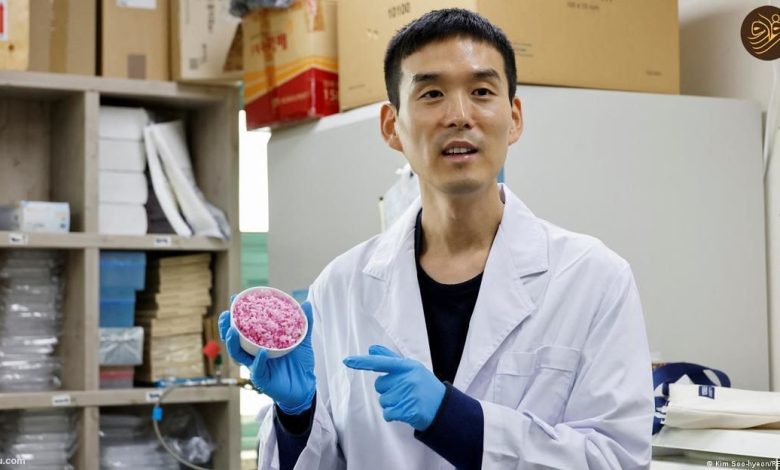 برنج گوشت گاو تشکیل شد/ آیا این برنج شگفت را میخورید؟_بام وطن 3 آیا برنج گوشت گاو آزمایشگاهی را می خورید؟ / خوانده شد