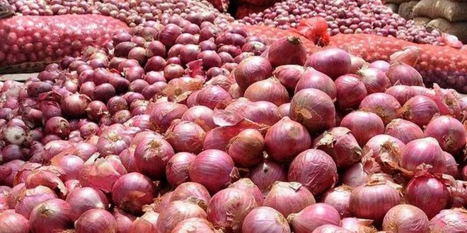 قیمت پیاز با مدیریت صادرات متعادل می‌شود