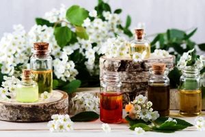 معارفه یک دمنوش گیاهی خانگی ساده برای درمان سریع خلط گلو_بام وطن 2 معرفی یک دمنوش گیاهی خانگی ساده برای درمان سریع خلط گلو