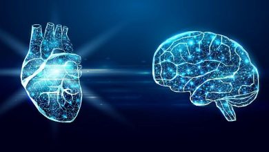 مغز کوچک قلب؛ دلایل علمی بر تایید خوش قلبی، تصمیم گیری با قلب و..._بام وطن 2 مغز کوچک قلب؛ دلایل علمی بر تایید خوش قلبی، تصمیم گیری با قلب و...