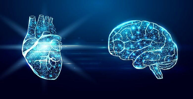 مغز کوچک قلب؛ دلایل علمی بر تایید خوش قلبی، تصمیم گیری با قلب و..._بام وطن 3 مغز کوچک قلب؛ دلایل علمی بر تایید خوش قلبی، تصمیم گیری با قلب و...