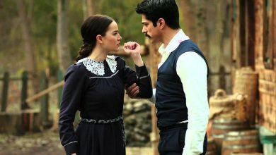 ده سریال ترکی پرطرفدار را بشناسید_بام وطن 15 10 سریال ترکی محبوب و پرمخاطب در ایران