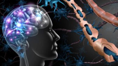 نور، کلید روشنایی مغز_بام وطن 6 نور، کلید روشنایی مغز