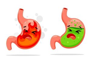 10 دمنوش گیاهی معجزه آسا برای درمان رفلاکس معده_بام وطن 6 10 دمنوش گیاهی معجزه آسا برای درمان رفلاکس معده