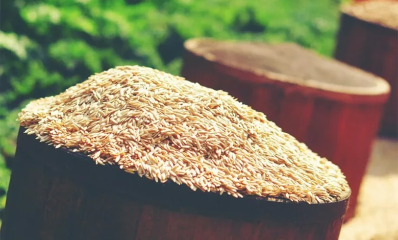 خواص سبوس برنج قهوه‌ ای برای بدن