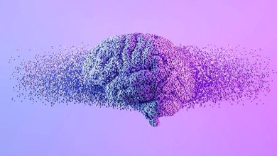 شنوایی، آخرین حسی که قبل از "مرگ" از دست می رود_بام وطن 3 مغز