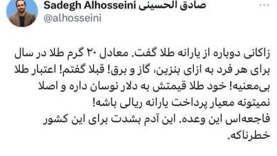 عکس العمل تند اقتصاددانان به مطرح زاکانی برای تعلق یارانه طلا_بام وطن 6 واقعا میتوان در سال ۲۰ گرم طلا به هر خانوار داد؟/ الحسینی: فاجعه است این وعده!