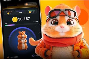 پشت پرده‌ نگران کننده همستر کامبت!