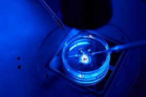 اولین «قرص بارداری» ساخته شد_بام وطن 6 اولین «قرص بارداری» ساخته شد