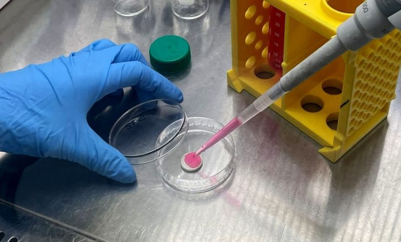 این ژله صورتی می‌تواند صنعت گوشت را متحول کند