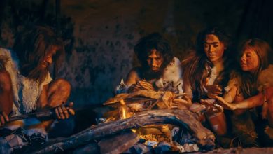 خودآگاهی به جای فرد، به سود اجتماع تکامل یافته است_بام وطن 2 585