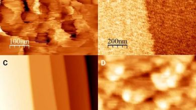 دانشمندان برای اولین بار یک میکروسکوپ را منجمد کردند_بام وطن 6 دانشمندان برای اولین بار یک میکروسکوپ را منجمد کردند