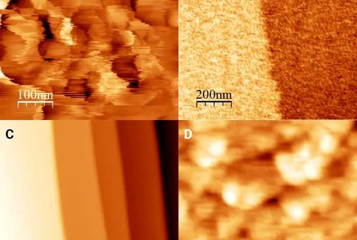 دانشمندان برای اولین بار یک میکروسکوپ را منجمد کردند_بام وطن 1 دانشمندان برای اولین بار یک میکروسکوپ را منجمد کردند