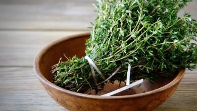 درمان شوره سر با آویشن_بام وطن 6 درمان-شوره-سر-با-آویشن