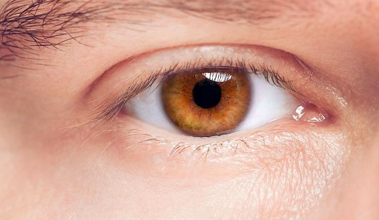 رنگ چشم قهوه‌ای رایج‌ترین رنگ چشم در جهان است