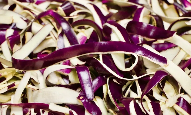 ۱۳ خاصیت بی‌ نظیر دمنوش پوست بادمجان طرز تهیه1